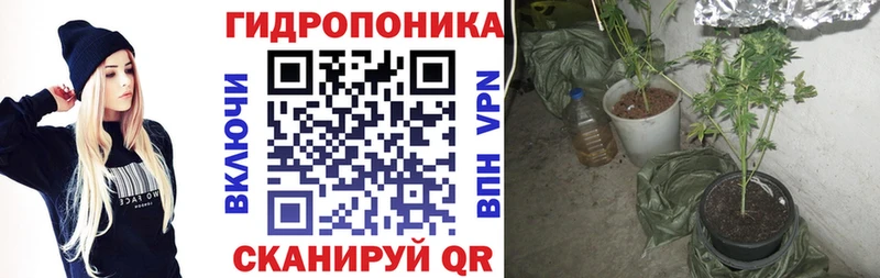 Продажа наркотиков Алапаевск Псилоцибиновые грибы  omg рабочий сайт  COCAIN  Alpha PVP  Гашиш 