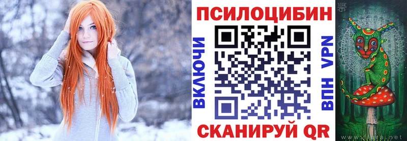 цены   Алапаевск  Галлюциногенные грибы Psilocybine cubensis 