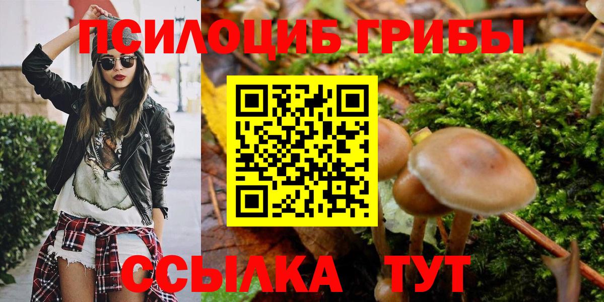 Псилоцибиновые грибы ЛСД  Вход с VPN  Алапаевск  Псилоцибиновые грибы Magic Shrooms 