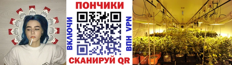 наркота Алапаевск Каннабис гибрид