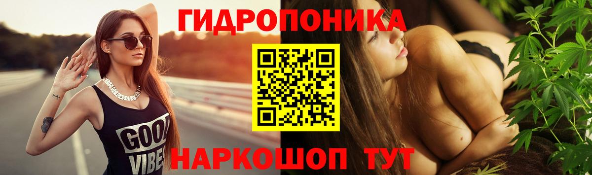 Бошки марихуана конопля  Конопля индика  Алапаевск  Вход с VPN  Бошки Шишки LSD WEED 